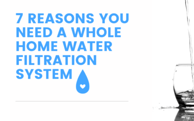 Top 7 Reasons You Need a Whole Home Water Filtration System: The Aragon Advantage on the Gold Coast
